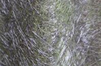 Robin Hill fibreglass roof work